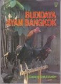 Image of Budidaya ayam bangkok