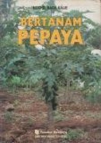 Image of Bertanam Pepaya