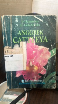 Image of Anggrek Cattleya