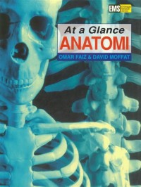 Image of At a Glance Anatomi