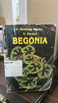 Image of Begonia