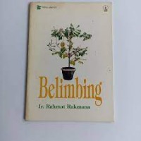 Image of Belimbing