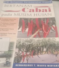 Image of BERTANAM CABAI PADA MUSIM HUJAN