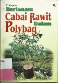 Image of Bertanam Cabai Rawit dalam Polybag.