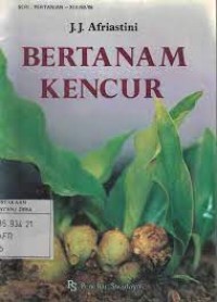 Image of Bertanam Kencur