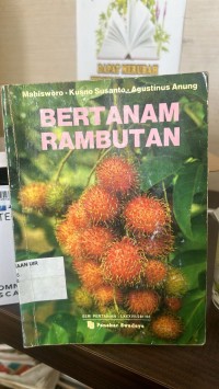 Image of Bertanam Rambutan