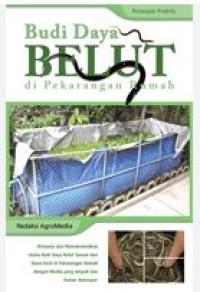 Image of Budidaya Belut di Pekarangan Rumah