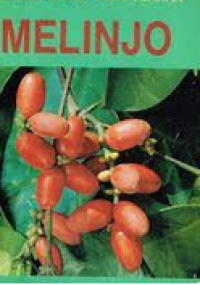 Image of BUDIDAYA DAN PENGOLAHAN MELINJO