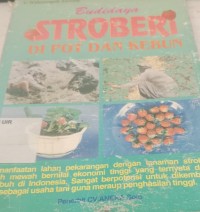 Image of Budidaya Stroberi di Pot dan di Kebun