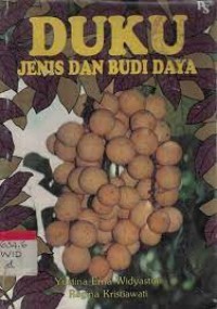 Image of Duku jenis dan budidaya