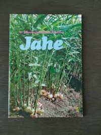 Image of Jahe