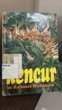 Image of Kencur