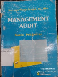 Image of Management Audit