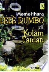 Image of Memelihara Lele Dumbo di Kolam Taman
