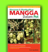 Image of Menanam & membuahkan Mangga dalam pot
