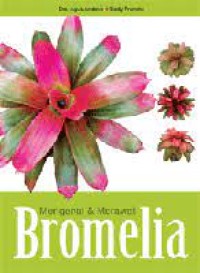 Image of MENGENAL & MERAWAT BROMELIA