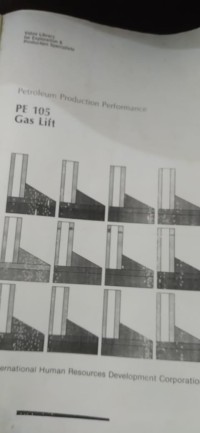 Image of Petroleum Production Performance