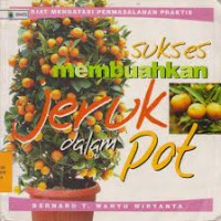 Image of SUKSES MEMBUAHKAN JERUK DALAM POT
