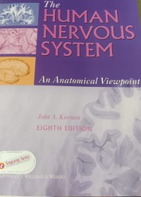 Image of The Human Nervous System