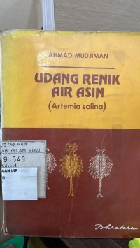 Image of Udang Renik Air Asin
