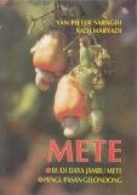 Image of Mete
